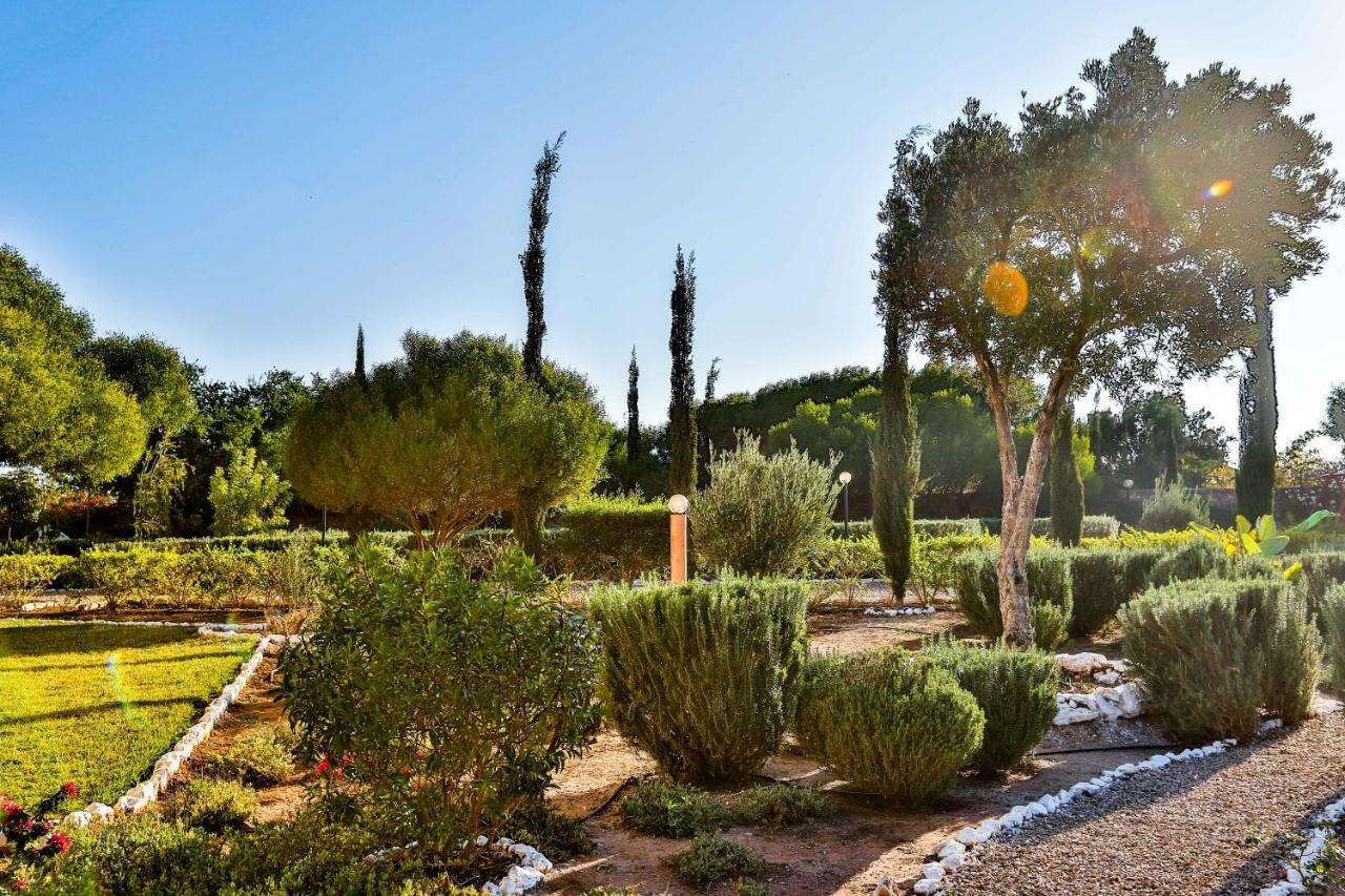 Maison Kasba Bonheur & Bien Etre Emma & Gilles Εσαουίρα Εξωτερικό φωτογραφία